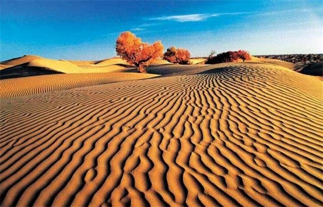 Takalamakan Wüste Xinjiang Takalamakan Wüste Xinjiang
