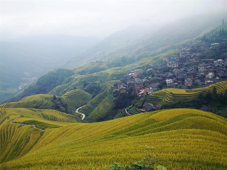 Longji Reisterrassen in Pingan Dorf Longji Reisterrassen in Pingan Dorf