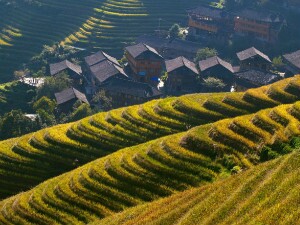 Wanderung auf den Longji Reisterrassen