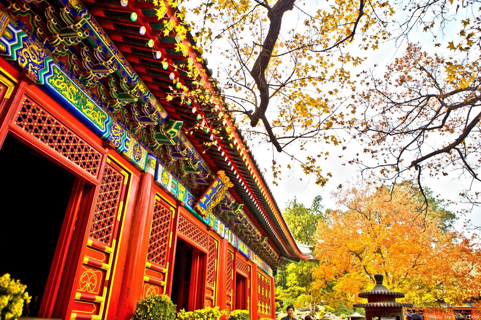 Peking im Herbst Peking im Herbst