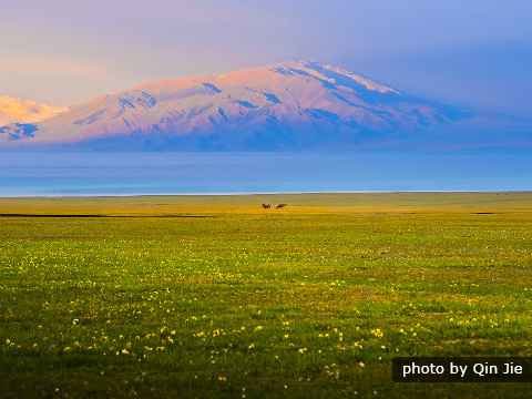 Yili in Xinjiang Yili in Xinjiang