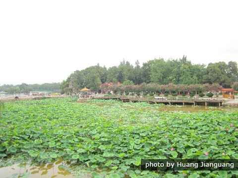 Garten Chinas Garten Chinas