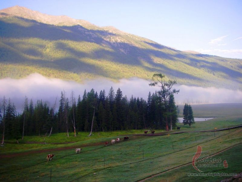 Xinjiang Kanas See Tour