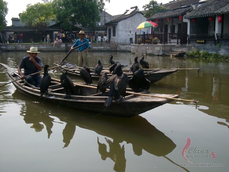 Shanghai und Hangzhou Tour