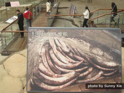 Das Jinsha Ruinen-Museum