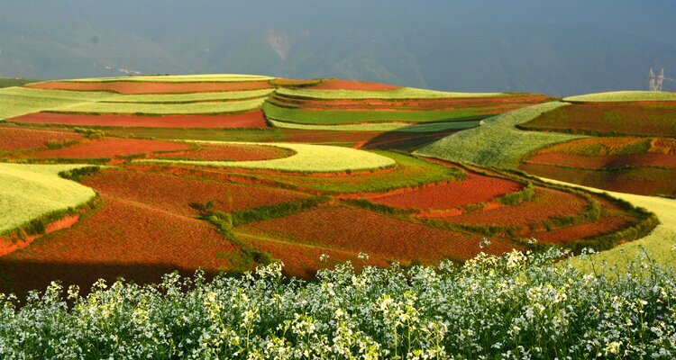 Dongchuan Roterde