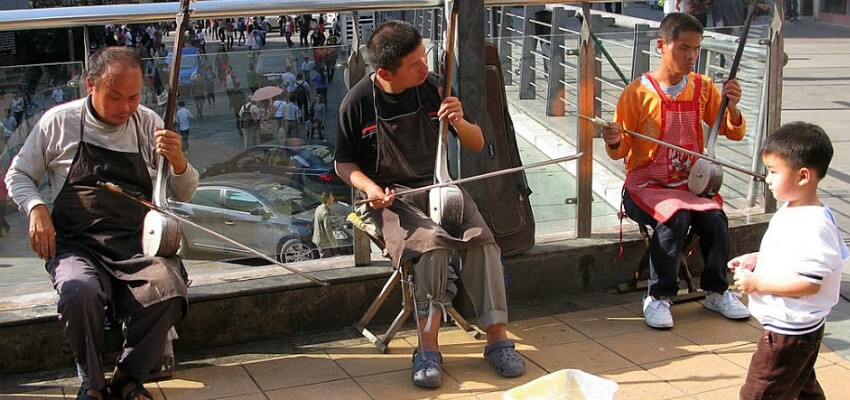 D DOLITY Erhu Schlangenhaut Protektoren Chinesisches Traditionelles Musikinstrument