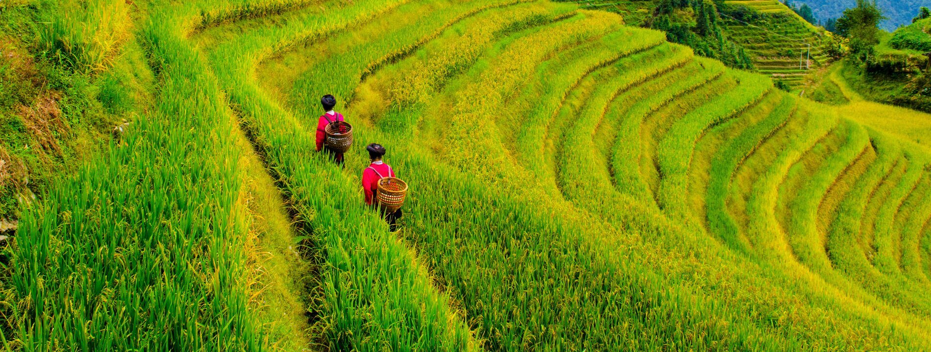 Klassische China Reise