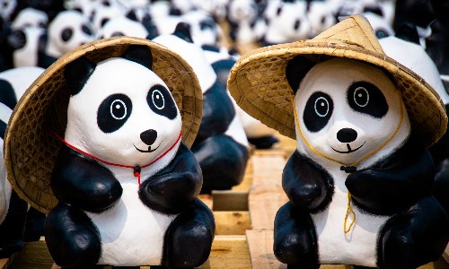 Tri-Goldene Städte mit Panda Reisen