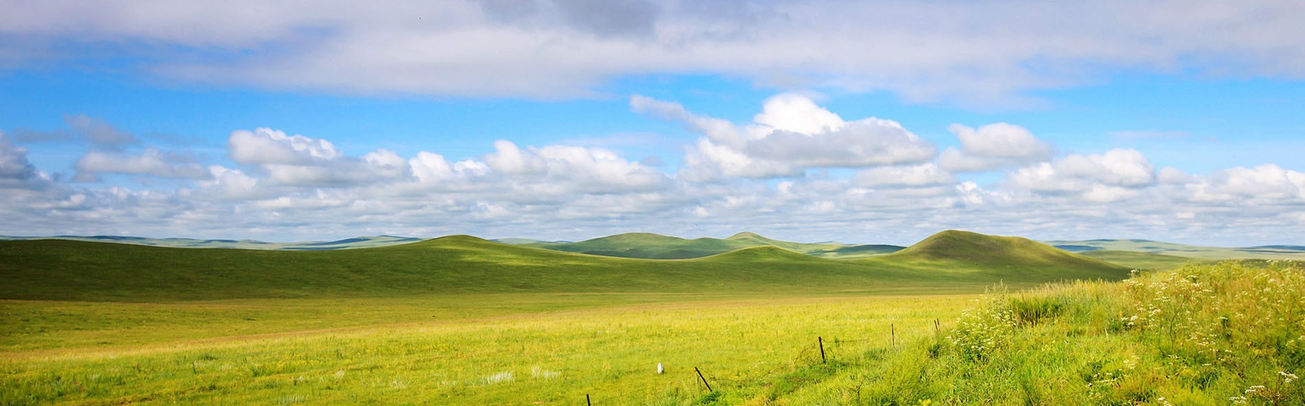Mongolei Grassland