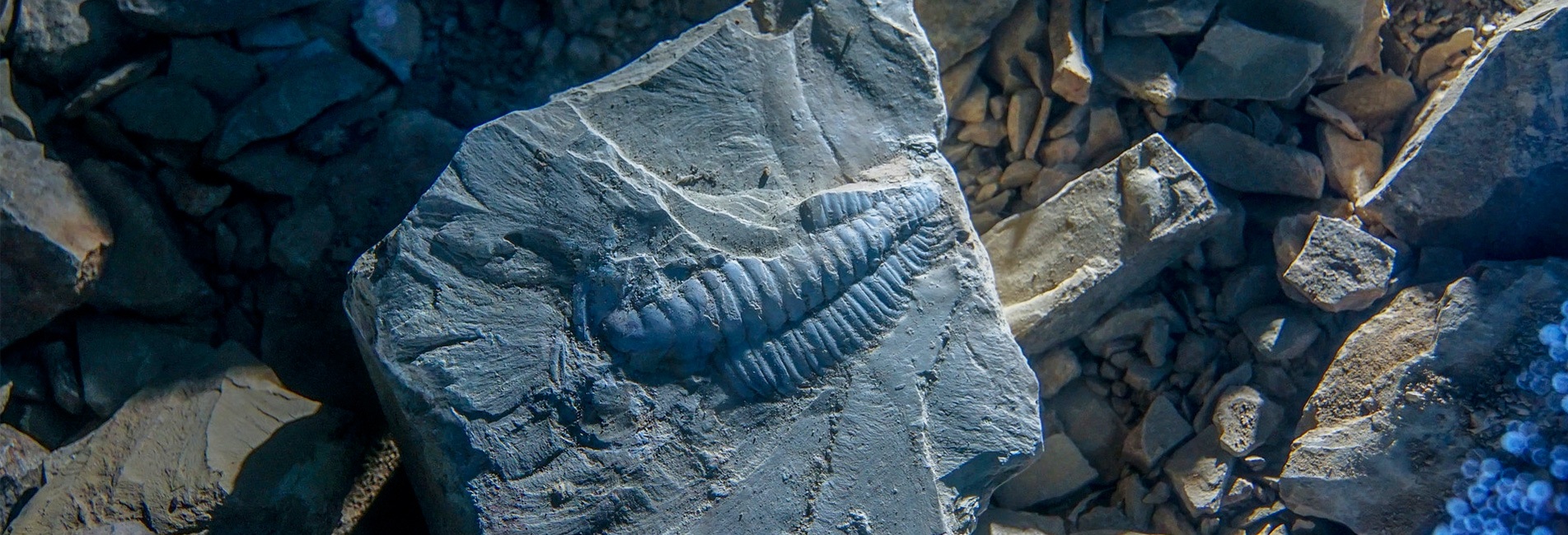 UNESCO-Welterbe Chinas-Die Fossilfundstätte Chengjiang