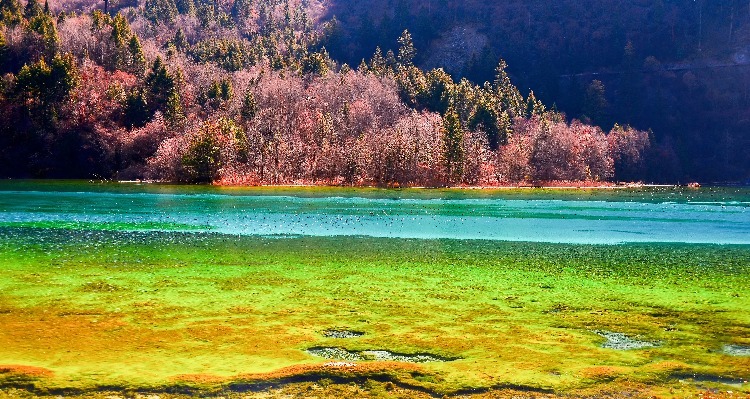 Jiuzhaigou - Fünf-Blumen-See