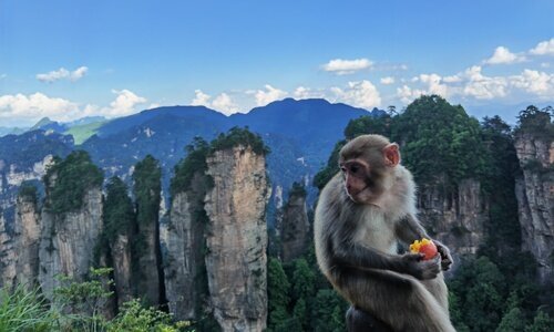 China Reisen 2020- Tibet